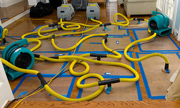 Professional Storm Water Damage Restoration technician working in Kenilworth, PA